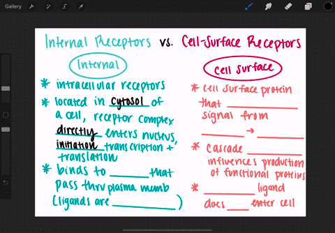 what-are-the-differences-between-internal-receptors-and-cell-surface-receptors-a-internal-receptors-