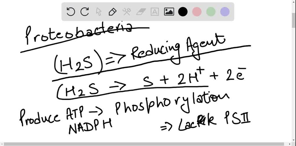 SOLVEDRole of H2 S in Some Photosynthetic Bacteria Il luminated purple