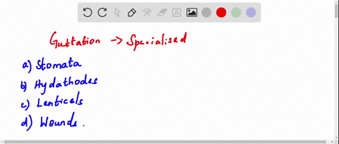 SOLVED:Guttation is the process of elimination of water from plants. It ...