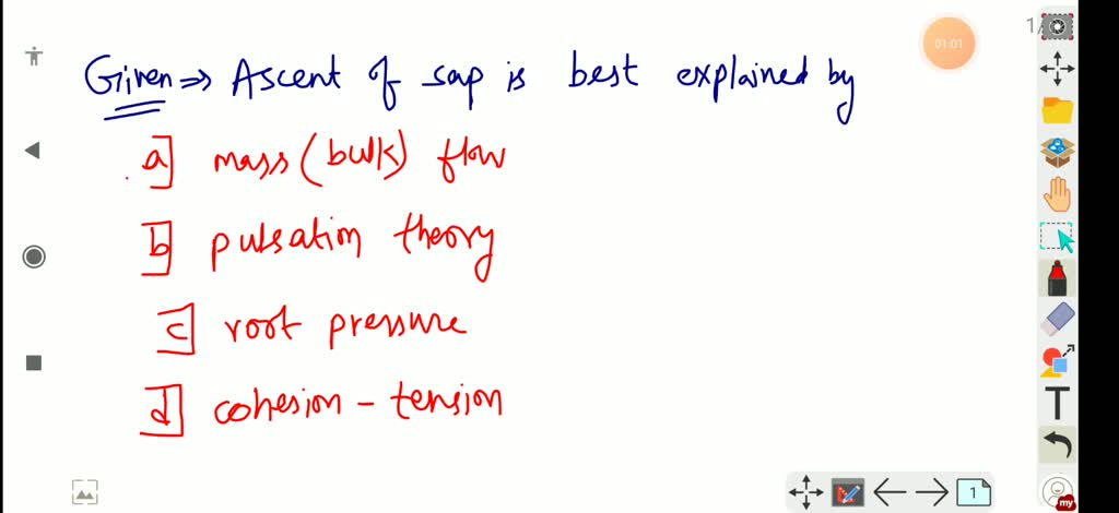 solved-ascent-of-sap-is-best-explained-by-a-mass-bulk-flow-b