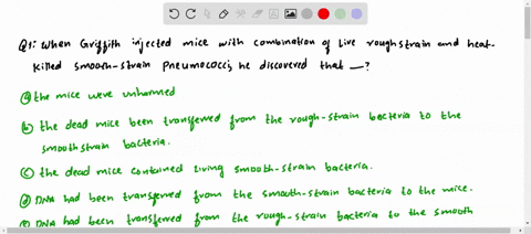 when-griffith-injected-mice-with-a-combination-of-live-roughstrain-and-heat-killed-smooth-strain-pne