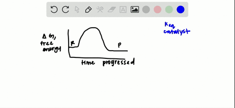 explain-the-effect-of-a-catalyst-on-an-equilibrium-system