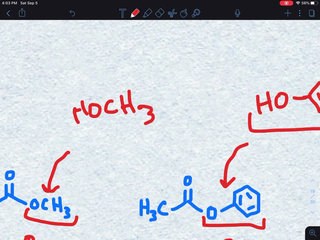 SOLVED:Which ester is more reactive, methyl formate or methyl acetate?