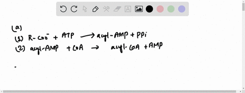 chemistry-of-the-acyl-coa-synthetase-reaction-fatty-acids-are-converted-to-their-coenzyme-a-esters-i