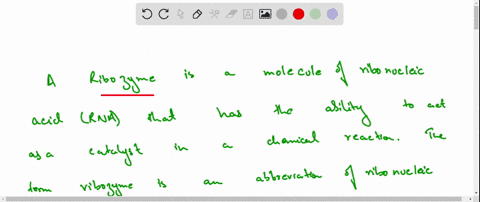 what-is-the-function-of-a-ribozyme-2
