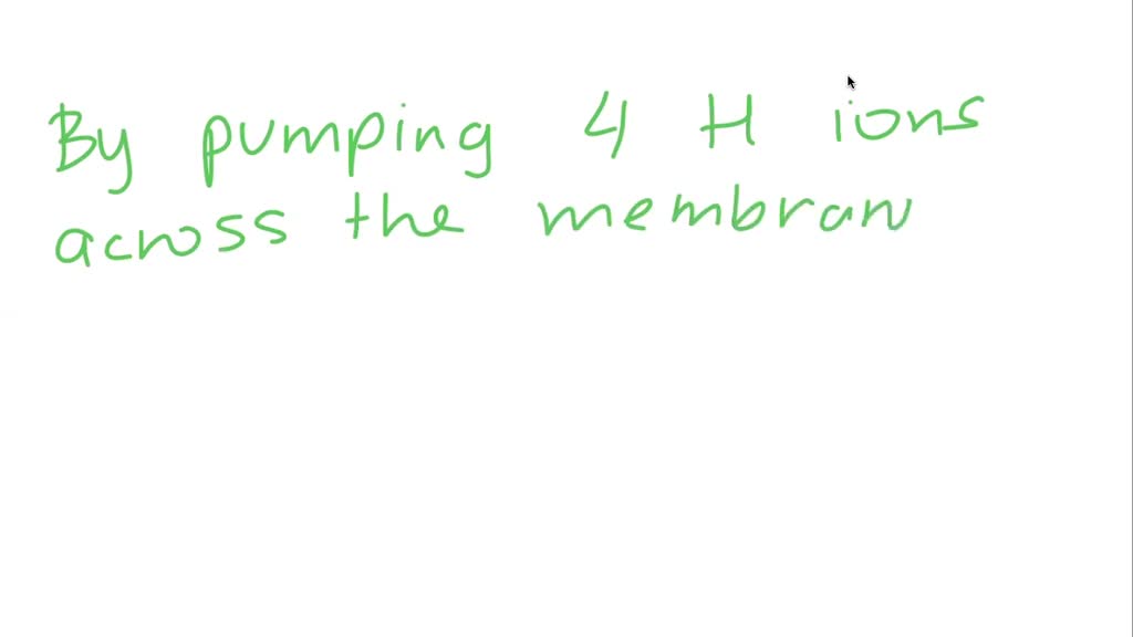 SOLVEDHow is the hydrogen ion gradient established?
