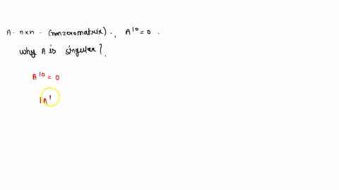 let-a-be-an-n-times-n-nonzero-matrix-satisfying-a10o-explain-why-a-must-be-singular-what-properties-