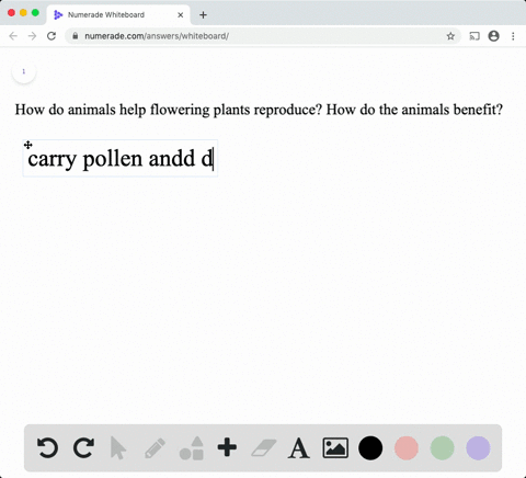how-do-animals-help-flowering-plants-reproduce-how-do-the-animals-benefit-2