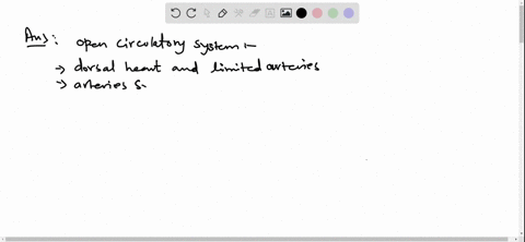 what-type-of-circulatory-system-do-arthropods-have-describe-the-direction-of-blood-flow-what-helps-t