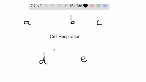 all-of-the-following-are-correct-about-cell-respiration-except-a-it-is-an-oxidative-process-b-all-pl