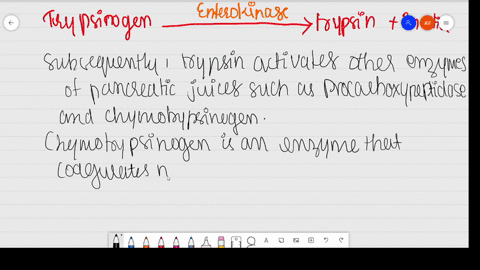why-are-xylem-and-phloem-called-complex-tissues