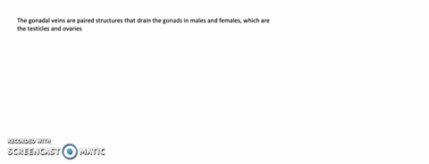 what-organs-do-the-gonadal-veins-drain