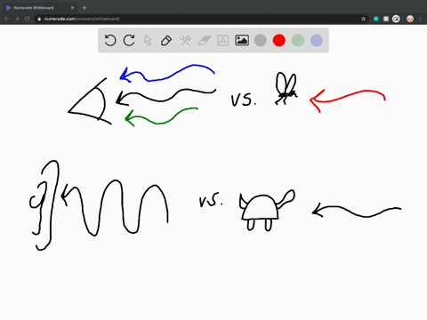 why-do-you-think-other-species-have-such-different-ranges-of-sensitivity-for-both-visual-and-auditor
