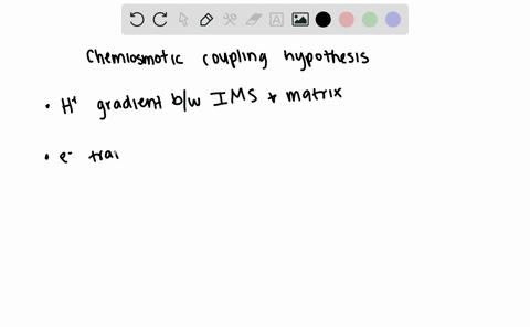 briefly-summarize-the-main-arguments-of-the-chemiosmotic-coupling-hypothesis-2
