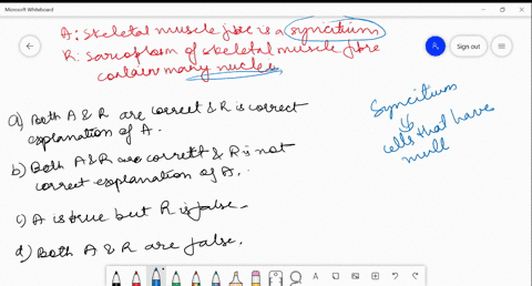 assertion-skeletal-muscle-fibre-is-a-syncitium-reason-sarcoplasm-of-skeletal-muscle-fibre-contain-ma