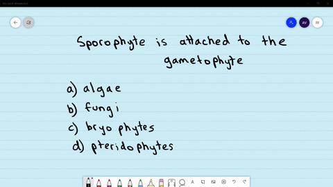 the-sporophyte-is-attached-to-the-gametophyte-in-b-fungi-d-pteridophytes-a-algae-c-bryophytes-land-i
