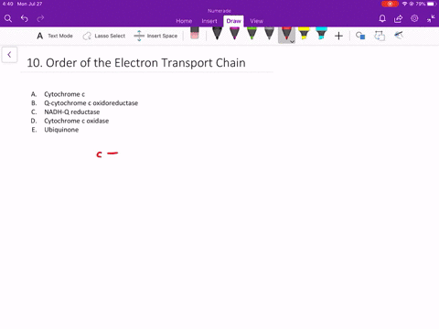 place-the-following-components-of-the-electron-transport-chain-in-their-proper-order-a-cytochrome-c-