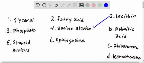identify-the-components-1-to-6-contained-in-each-of-the-following-lipids-a-to-mathbfd-151152153155-3