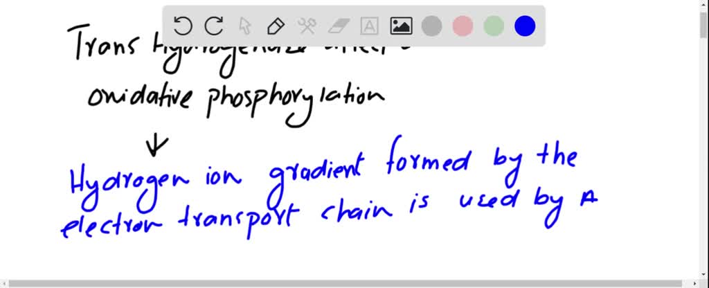 SOLVED Mode Of Action Of Dicyclohexylcarbodiimide DCCD When DCCD Is solved-mode-of-action-of-dicyclohexylcarbodiimide-dccd-when-dccd-is