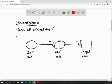 watch-this-video-httpopenstaxcollegeorg1-basalnucleil-to-learn-about-the-basal-nuclei-also-known-as-