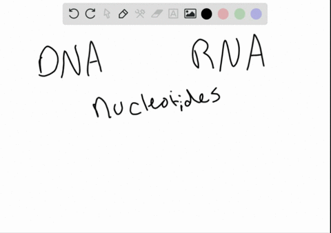 a-molecule-of-dna-or-rna-is-a-polymer-of-a-monosaccharides-c-amino-acids-b-nucleotides-d-fatty-acids