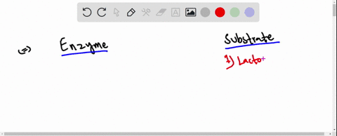 name-an-enzyme-that-acts-on-each-molecule-a-lactose-b-protein-c-rna