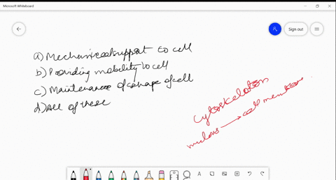 cytoskeleton-helps-in-a-mechanical-support-to-cell-b-providing-mobility-to-cell-c-maintenance-of-sha