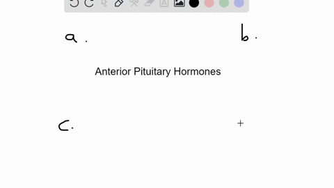 which-of-the-following-is-an-anterior-pituitary-hormone-a-adh-b-oxytocin-c-tsh-d-cortisol