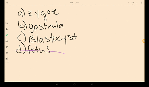 a-____________-implants-in-the-lining-of-the-uterus-a-zygote-b-gastrula-c-blastocyst-d-fetus
