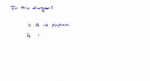 the-following-diagram-shows-modification-of-the-meiosis-i-identify-a-b-c-d-a-a-telophase-i-b-anaphas