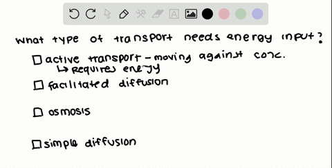 Solved:which Transport Mechanism Can Bring Whole Cells Into A Cell? A.  Pinocytosis B. Phagocytosis C. Facilitated Transport D. Primary Active  Transport Solved:which Transport Mechanism Can Bring Whole Cells Into A Cell? A.  Pinocytosis B. Phagocytosis C. Facilitated Transport D. Primary Active  Transport