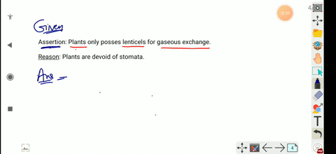 assertion-plants-only-posses-lenticels-for-gaseous-exchange-reason-plants-are-devoid-of-stomata