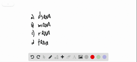 which-of-the-following-types-of-rna-is-known-for-its-catalytic-abilities-a-dsrna-b-mrna-c-rrna-d-trn