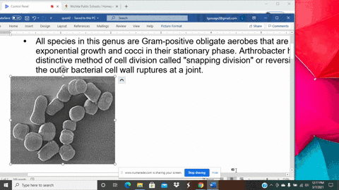 SOLVED:The type of reproduction in prokaryotes that results in a ...