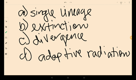 in-evolutionary-trees-each-branch-point-represents-an-___________-a-single-lineage-b-extinction-c-di