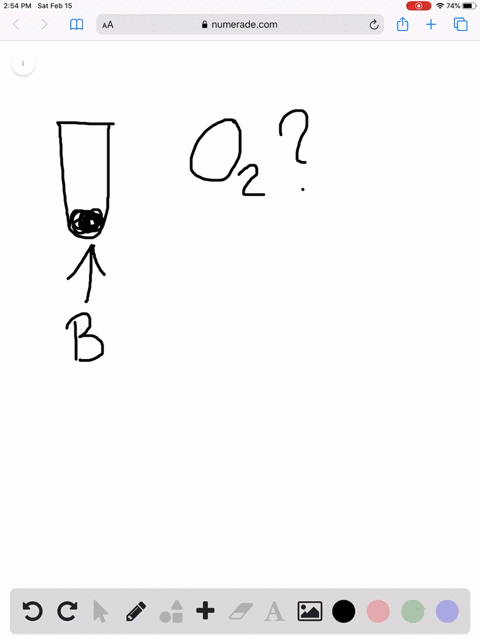 questions-94-96-a-tissue-or-cells-can-be-mashed-up-in-a-blender-to-form-a-liquid-homogenate-and-th-2