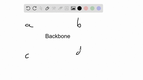 the-human-backbone-_________-a-consists-of-vertebrae-and-intervertebral-cartilage-disks-b-is-s-shape