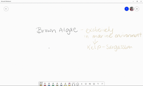 which-statement-about-the-brown-algae-is-not-true-a-they-are-all-multicellular-b-they-use-the-same-2