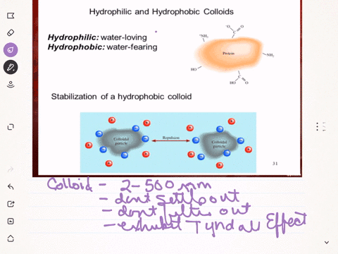 describe-how-hydrophilic-and-hydrophobic-colloids-are-stabilized-in-water-2