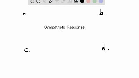 which-of-these-physiological-changes-would-not-be-considered-part-of-the-sympathetic-fight-or-flight