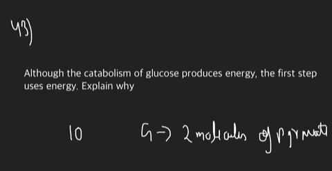 although-the-catabolism-of-glucose-produces-energy-the-first-step-uses-energy-explain-why
