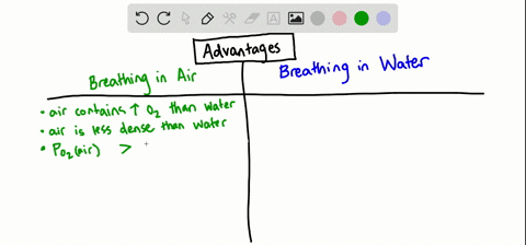 which-of-the-following-is-not-an-advantage-of-breathing-air-over-breathing-water-a-air-is-less-dense