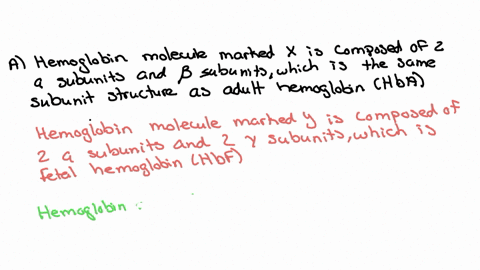 the-following-figure-shows-an-electrophoretic-analysis-of-the-hemoglobin-proteins-present-in-normal-