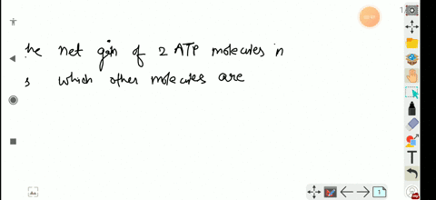 besides-the-net-gain-of-2-atp-molecules-in-glycolysis-which-other-molecules-are-simultaneously-forme