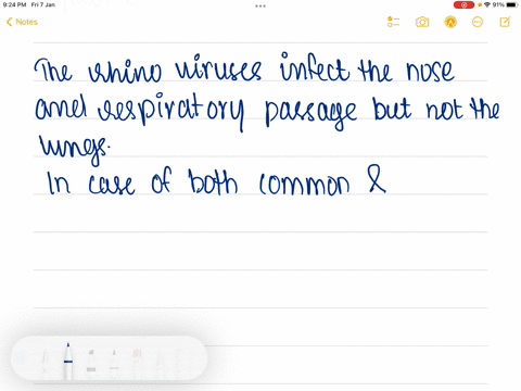 in-common-cold-which-part-of-respiratory-system-is-not-infected-a-nose-b-respiratory-passage-c-lungs