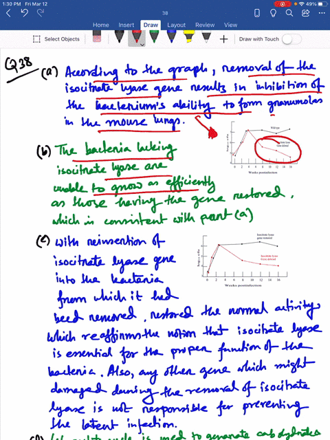 the-bacterium-3-mycobacterium-tuberculosis-the-cause-of-tuberculosis-can-invade-the-lungs-and-persis