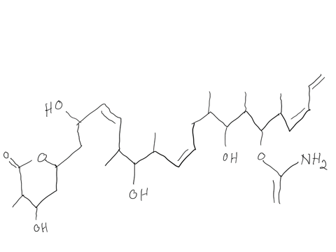a-locate-all-the-tetrahedral-stereogenic-centers-in-discodermolide-a-tumor-inhibitor-isolated-from-t