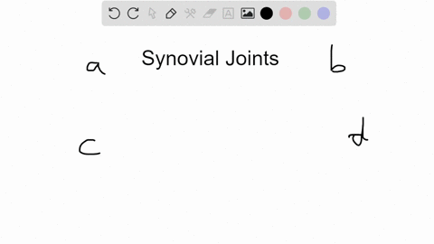 synovial-joints-may-include-cartilage-ligaments-tendons-and-synovial-fluid-which-of-these-attach-bon