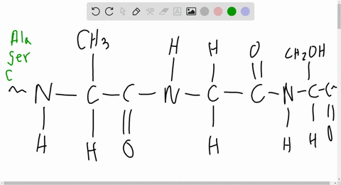 name-those-components-examine-the-segment-of-a-protein-shown-here-figure-cannot-copy-a-what-three-am