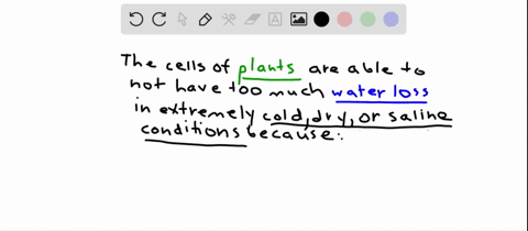 how-do-plant-cells-avoid-losing-too-much-water-in-very-cold-dry-or-saline-habitats-a-they-balance-th